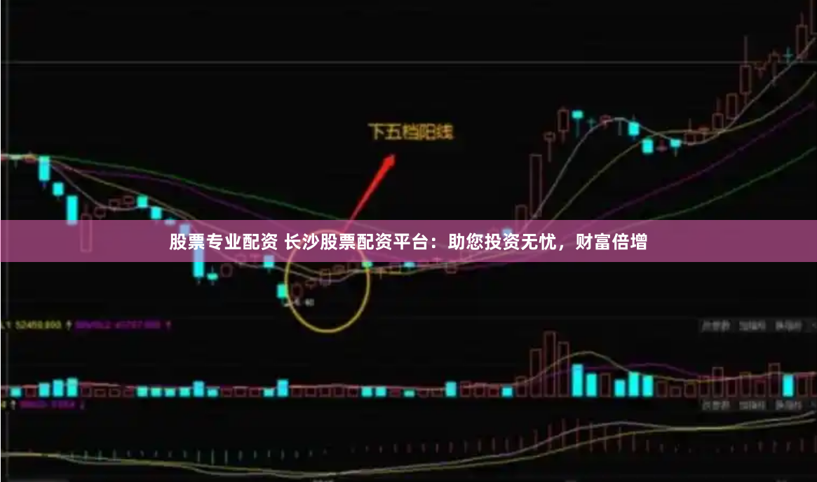 股票专业配资 长沙股票配资平台：助您投资无忧，财富倍增