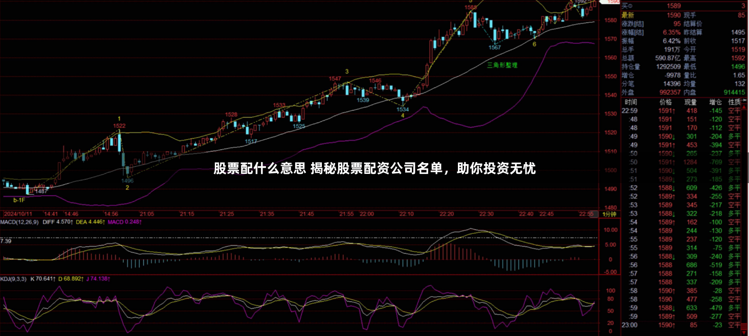 股票配什么意思 揭秘股票配资公司名单,助你投资无忧