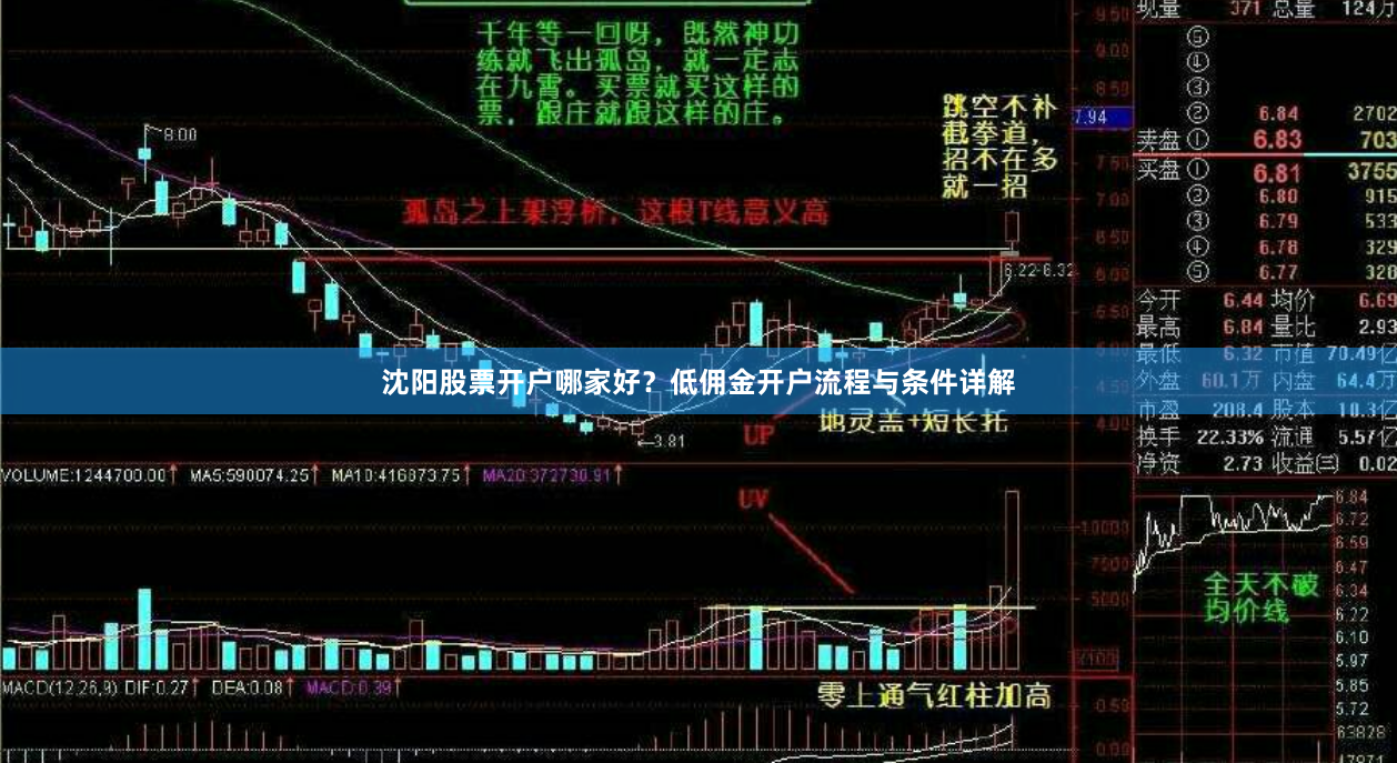 沈阳股票开户哪家好？低佣金开户流程与条件详解